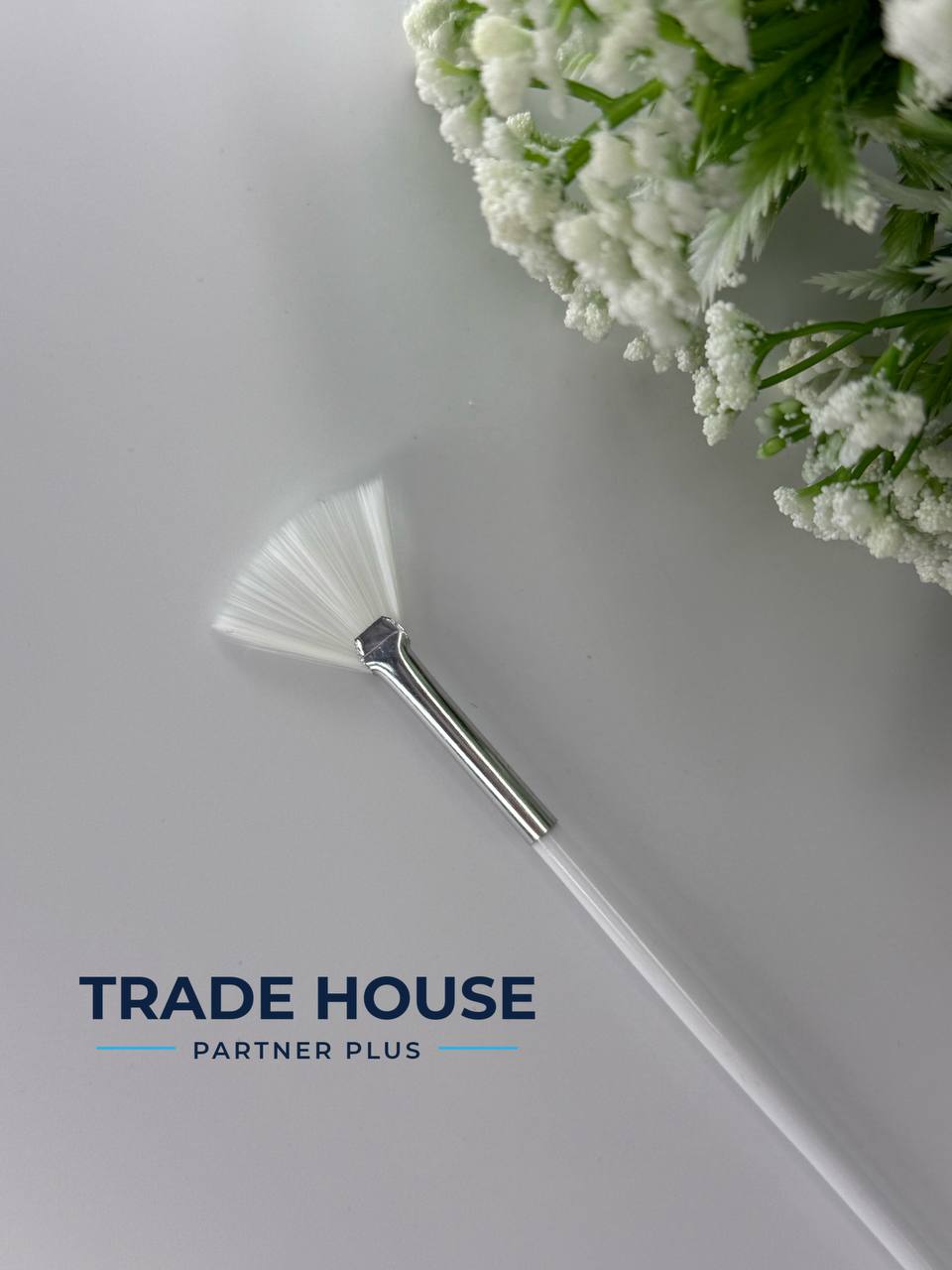 Кість вєєрна